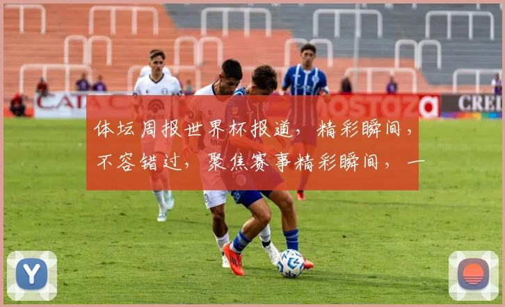 体坛周报世界杯报道，精彩瞬间，不容错过，聚焦赛事精彩瞬间，一网打尽