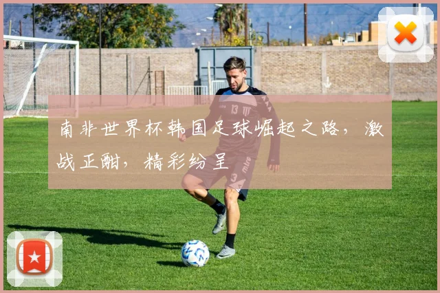南非世界杯韩国足球崛起之路，激战正酣，精彩纷呈