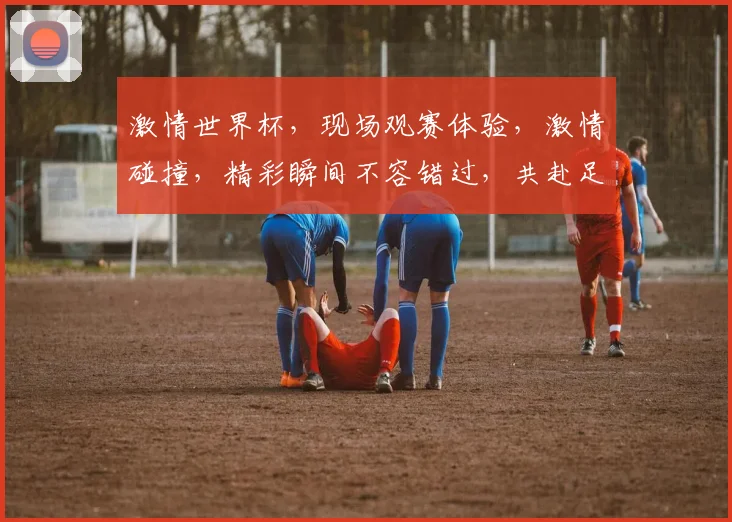 激情世界杯，现场观赛体验，激情碰撞，精彩瞬间不容错过，共赴足球盛宴