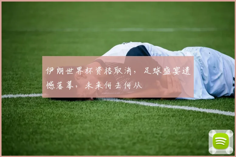 伊朗世界杯资格取消，足球盛宴遗憾落幕，未来何去何从