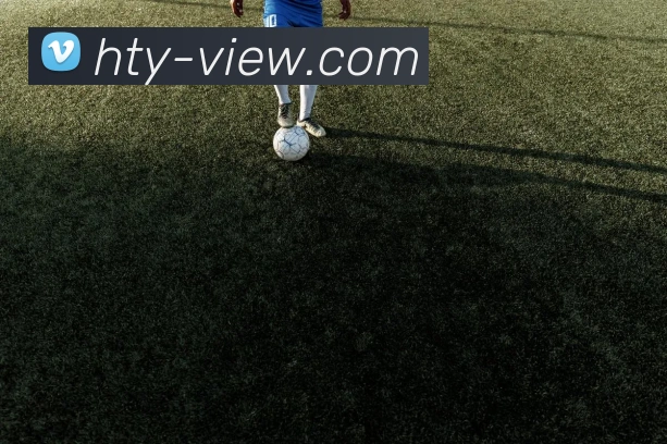 平台使命图